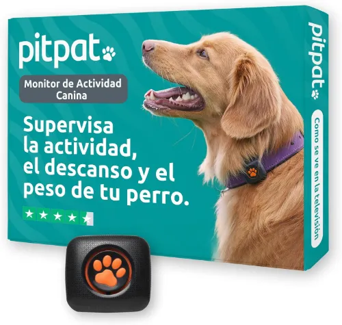 Monitor de actividad PitPat para perros