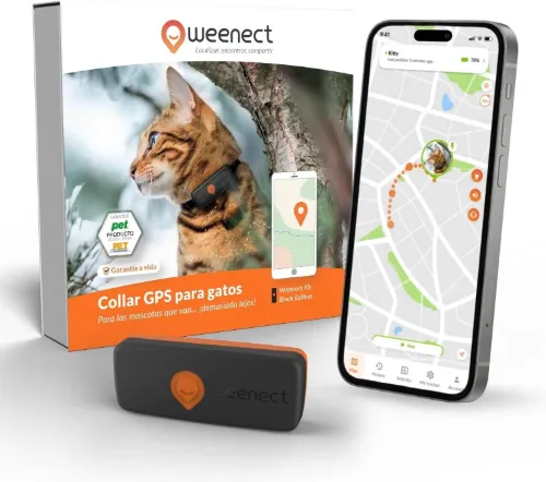 GPS Weenect para gatos